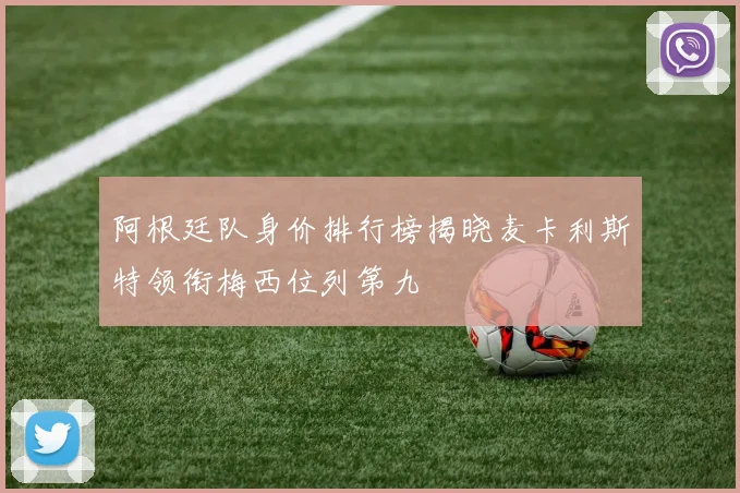 阿根廷队身价排行榜揭晓麦卡利斯特领衔梅西位列第九
