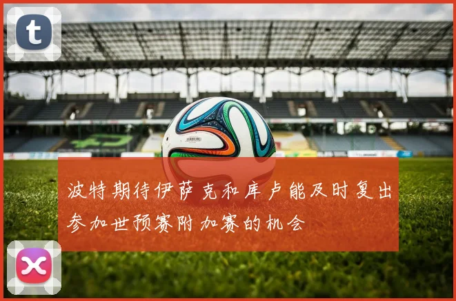 波特期待伊萨克和库卢能及时复出参加世预赛附加赛的机会